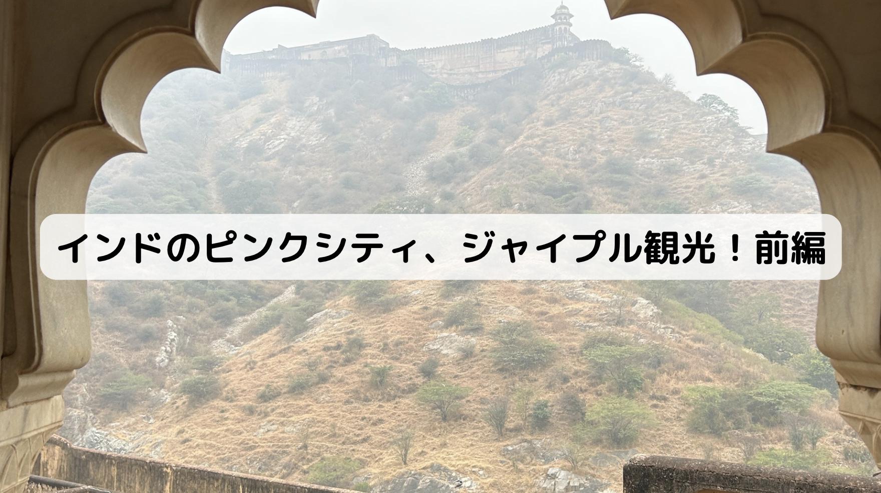 インドのピンクシティ、ジャイプル観光!前編