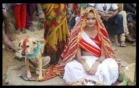 インドで犬と結婚