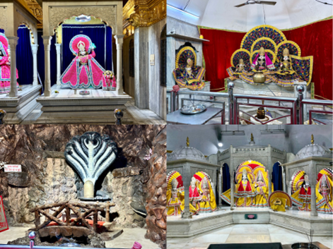 インド人 アニメ コスプレ