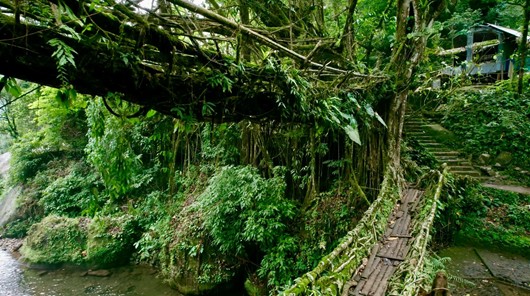 リビングルートブリッジ