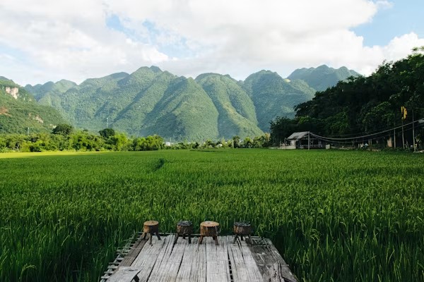新旧の農業技術が共存する農村風景