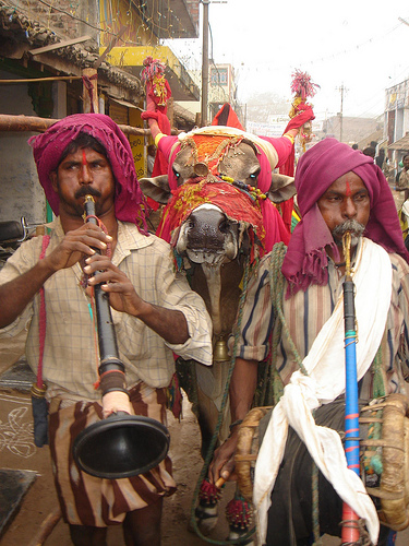 Sankranti