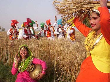 VaisakhiHarvest